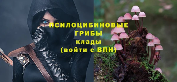 мдпв Алзамай