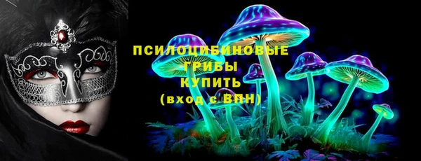 кокс Алексин