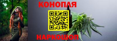 шишки Коммунар