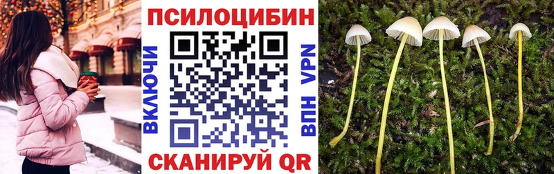 Псилоцибиновые грибы Cubensis  omg tor  Биробиджан 