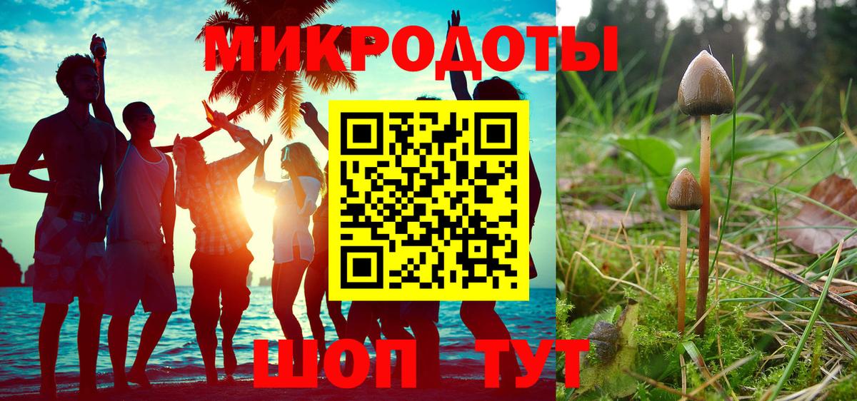 Галлюциногенные грибы мицелий Биробиджан