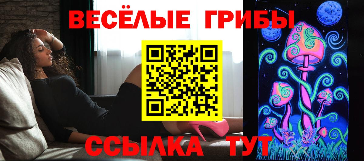 где найти   Псилоцибиновые грибы мицелий  Вход с VPN  Биробиджан  Псилоцибиновые грибы ЛСД 